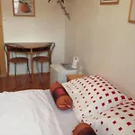 杜姆巴尔维察膳食公寓酒店 3*