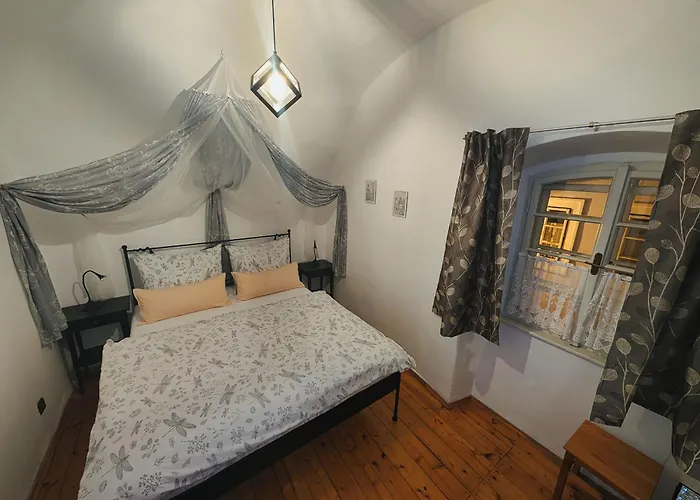 Dům U Barvíře Penzion 3*