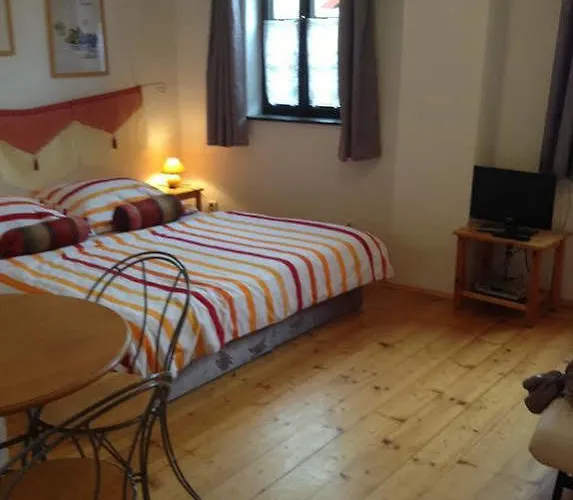 Dum U Barvire 3* Český Krumlov