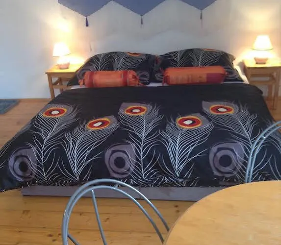 Dum U Barvire Gæstehus Český Krumlov